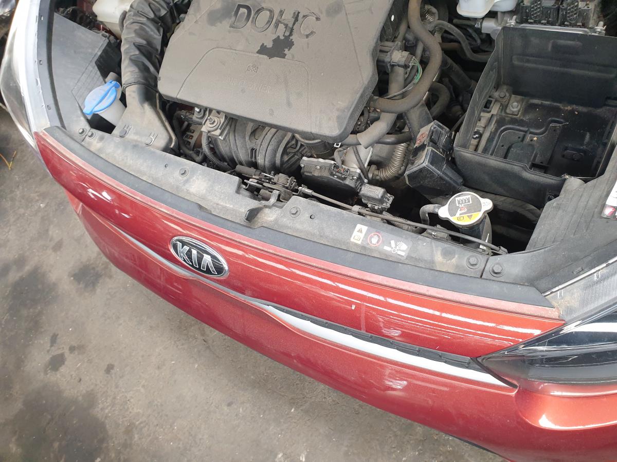 Frontale in fibra o lamiera KIA Picanto (JA)