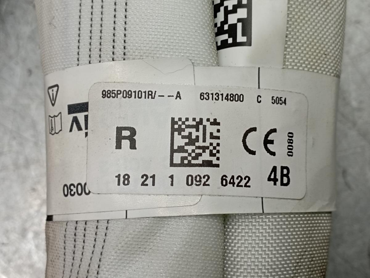 Airbag Rideau Droite RENAULT Megane IV (B9A/M_) Imagem-3