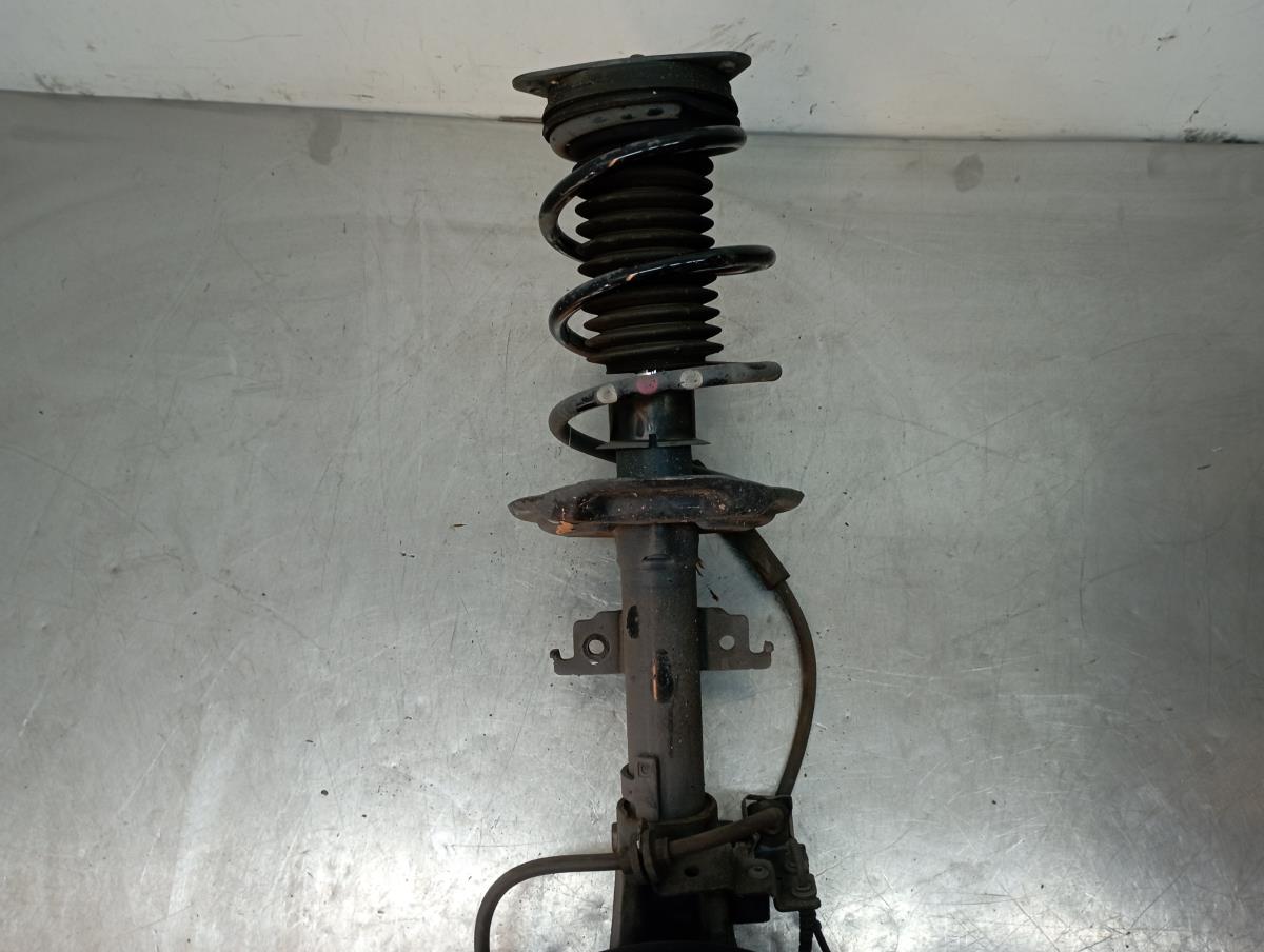 Ammortizzatore Anteriore Sinistro RENAULT Megane IV (B9A/M_) Imagem-1