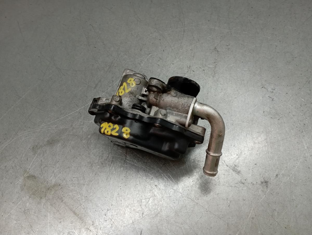 Válvula EGR VOLKSWAGEN Golf VII (5G1, BQ1, BE1, BE2) Imagem-1