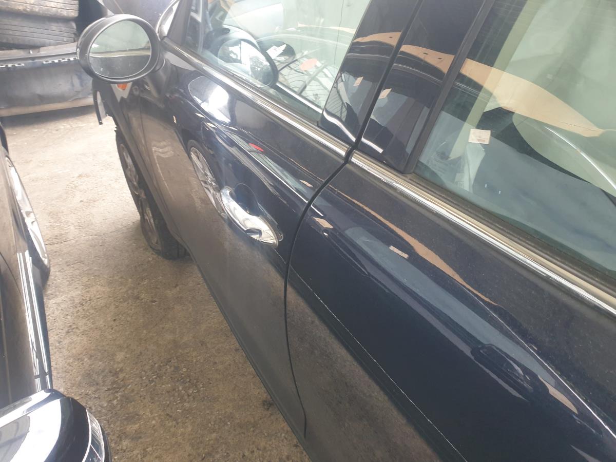 Puerta Delantero Izquierdo MINI Mini Countryman (R60) Imagem-6