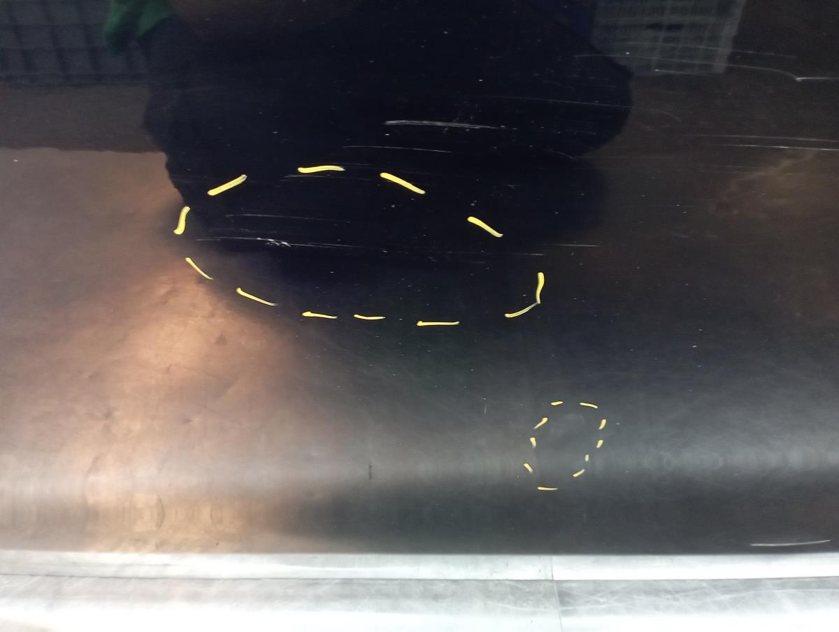 Puerta Delantero Izquierdo MINI Mini Countryman (R60) Imagem-4