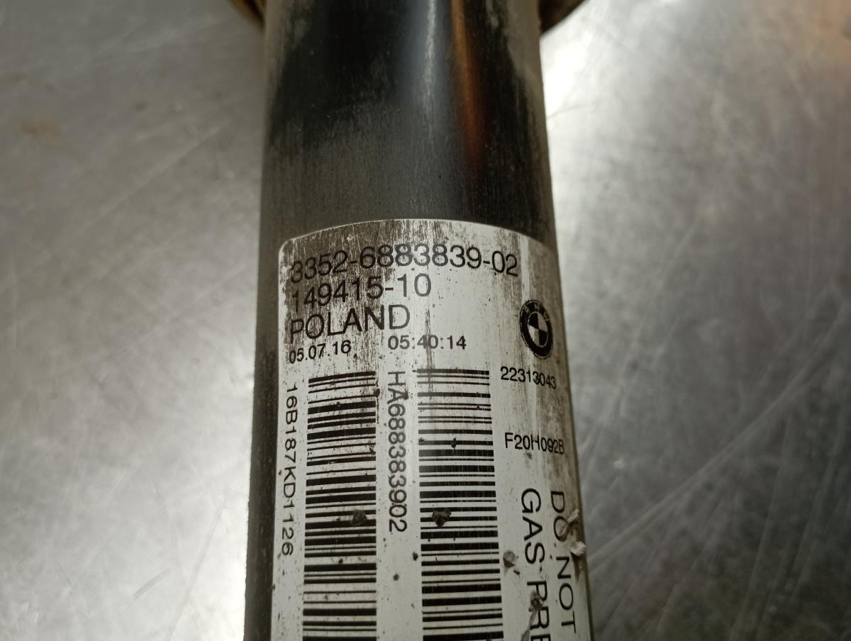 Ammortizzatore Posteriore Sinistro BMW 1 (F20)