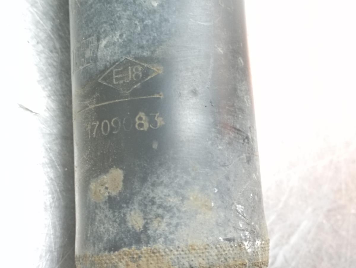 Amortisseur Arrière Droite RENAULT Scénic IV (J9_) Imagem-2