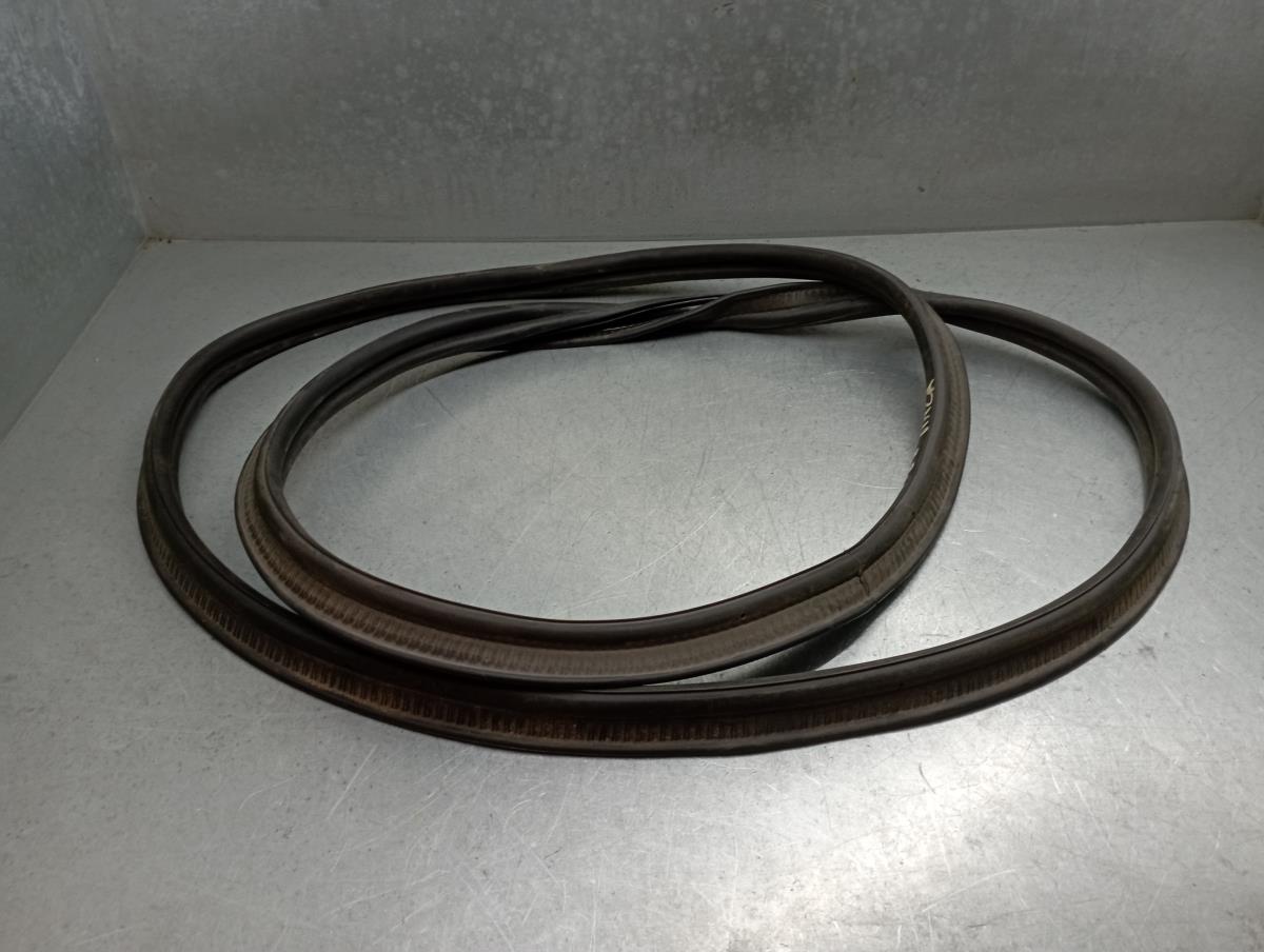 Borracha genérica RENAULT Clio V (BF_)