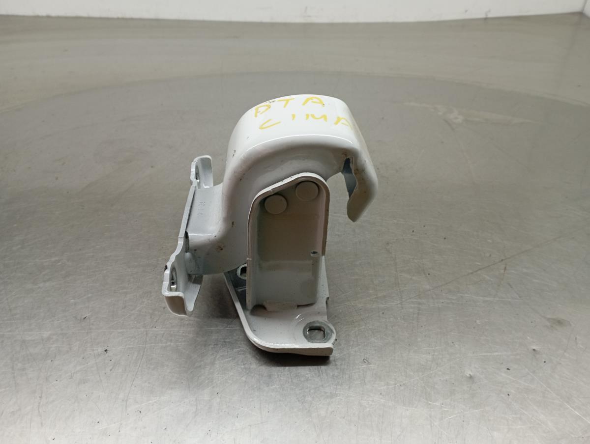 Cerniera porta posteriore destra RENAULT Trafic III Combi (JG_)