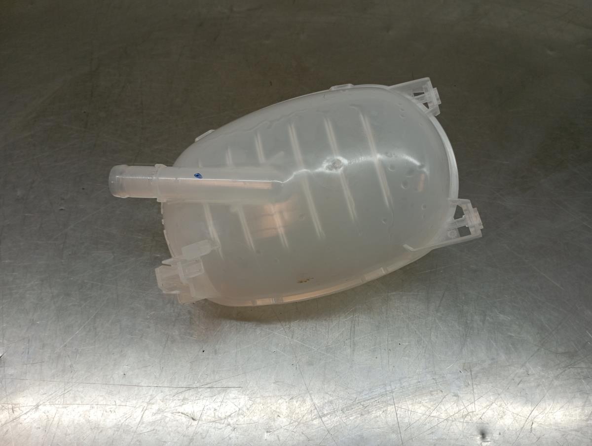 Coolant reservoir DACIA Sandero III Imagem-1