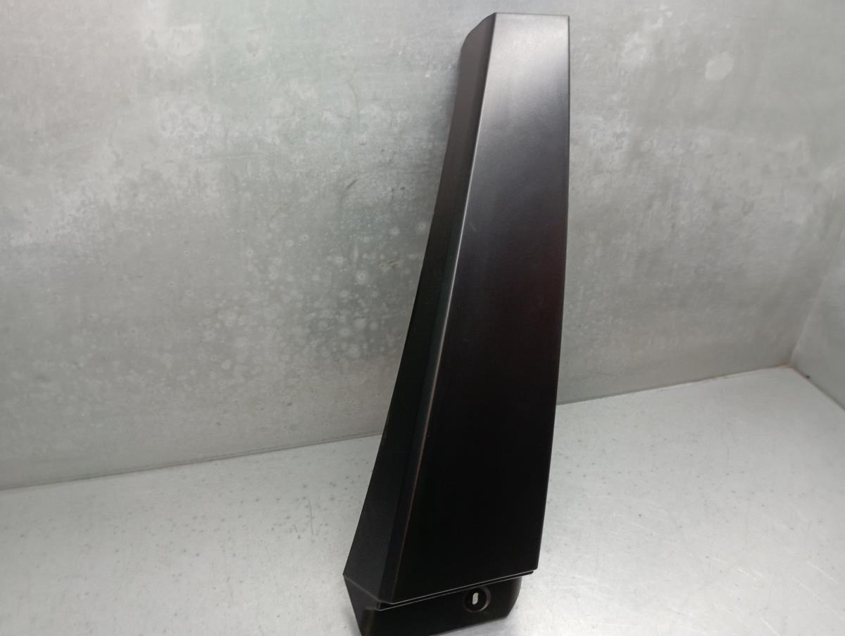 Friso Embelezador Esq Pilar/Porta DACIA Sandero III Imagem-1