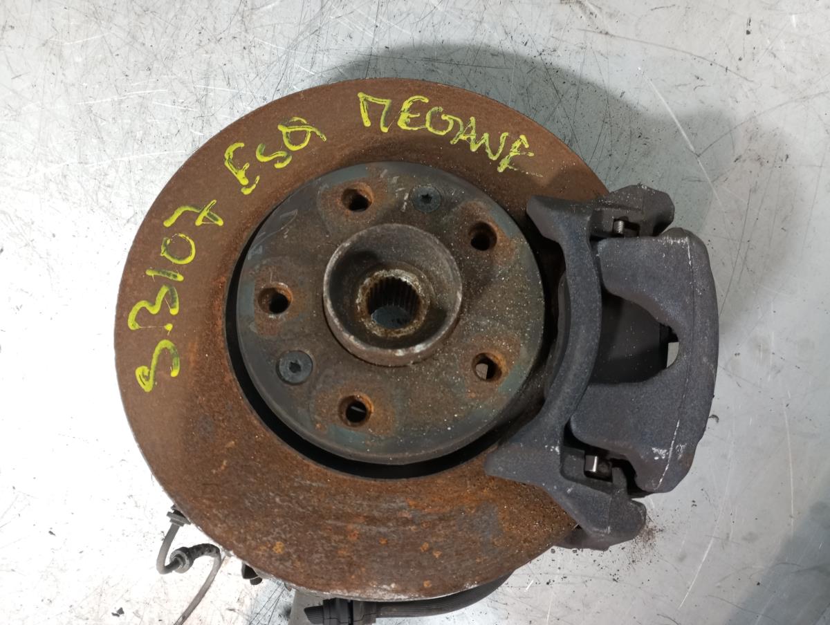 Fusello anteriore sinistro RENAULT Megane IV Grandtour (K9A/M_)