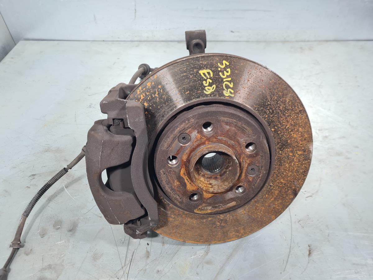 Fusello anteriore sinistro RENAULT Trafic III Combi (JG_)