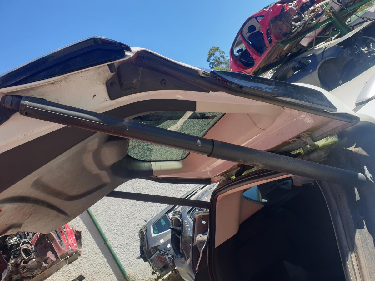 Amortisseur de coffre FORD Kuga II (DM2)