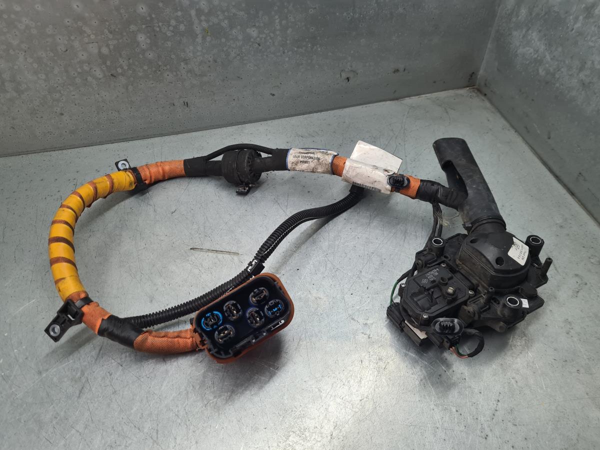 Cavo di ricarica PHEV - EV RENAULT Zoe (BFM_)