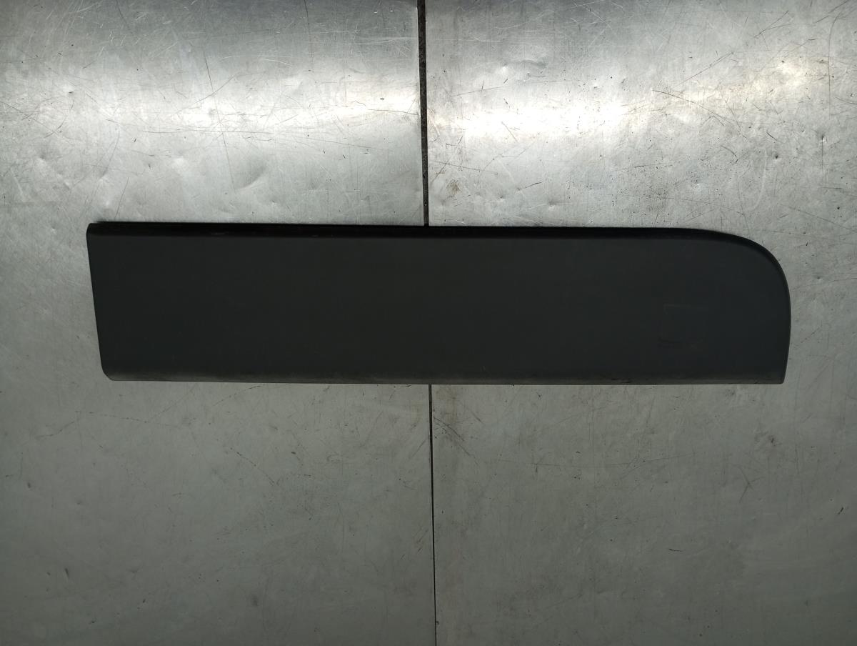 Moldura puerta trasera izquierda RENAULT Master III (FV)