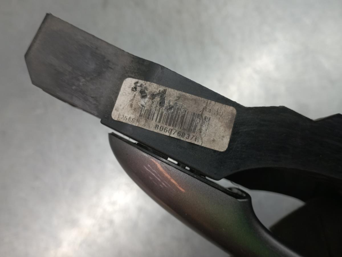 Puxador porta trás esquerdo RENAULT Captur (J5_) Imagem-3