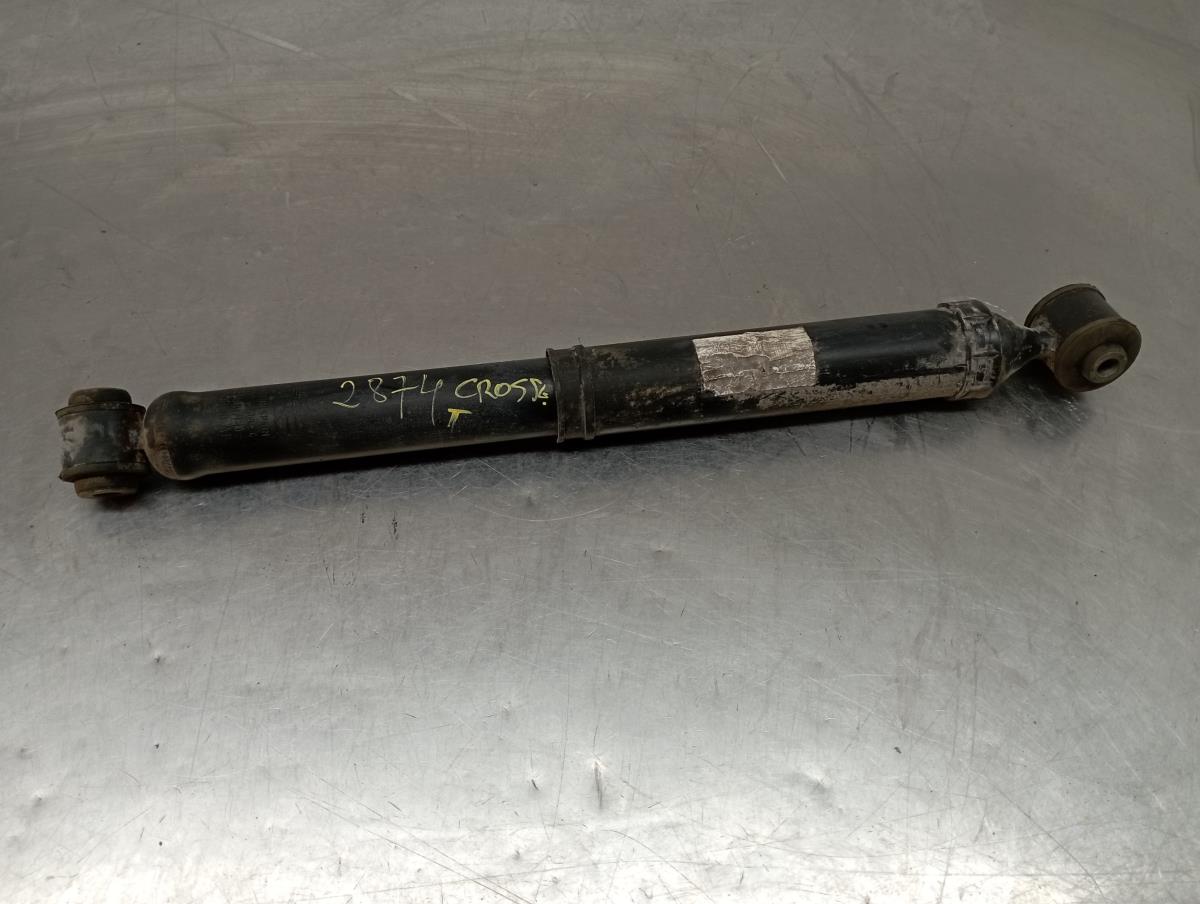 Ammortizzatore Posteriore Destro OPEL Crossland X (75)