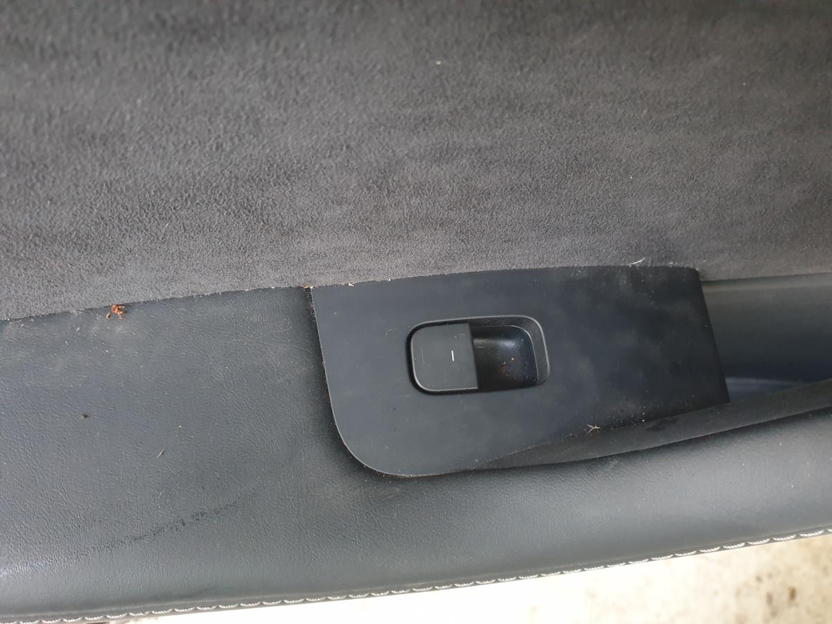Comando / interruttore alzacristallo posteriore sinistro TESLA Model 3 (5YJ3)