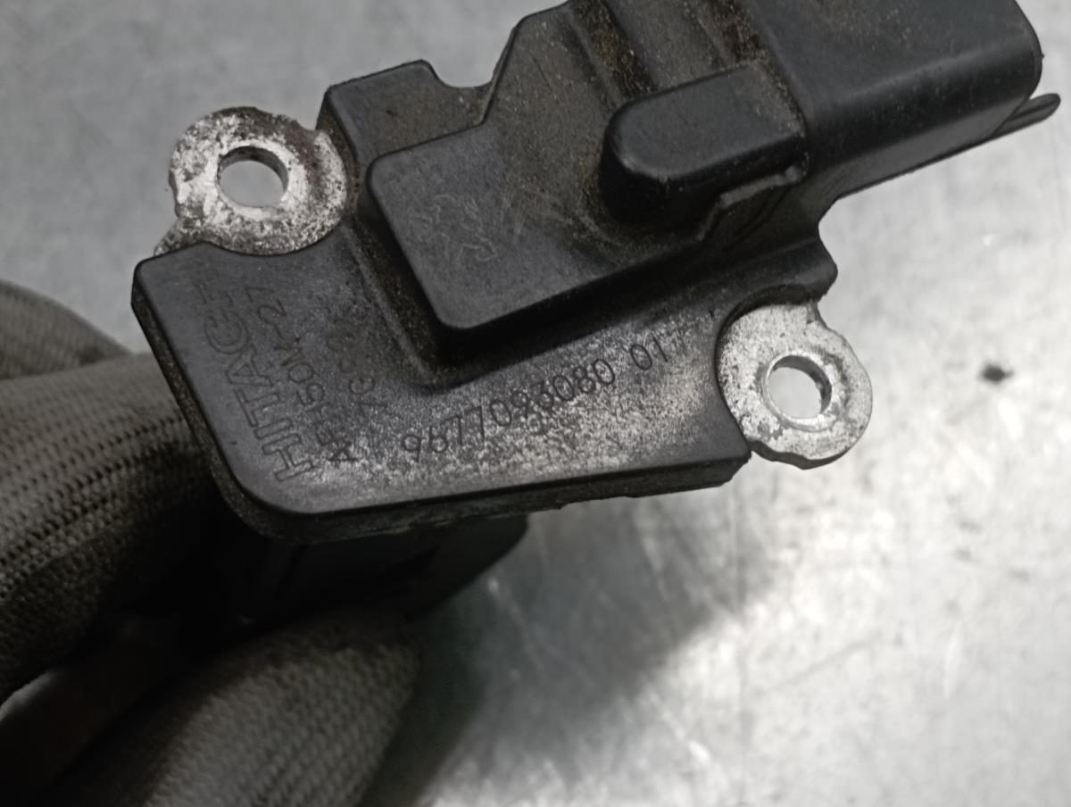 Mass Air Flow Sensor (MAF) PEUGEOT 2008 I (CU_) Imagem-4