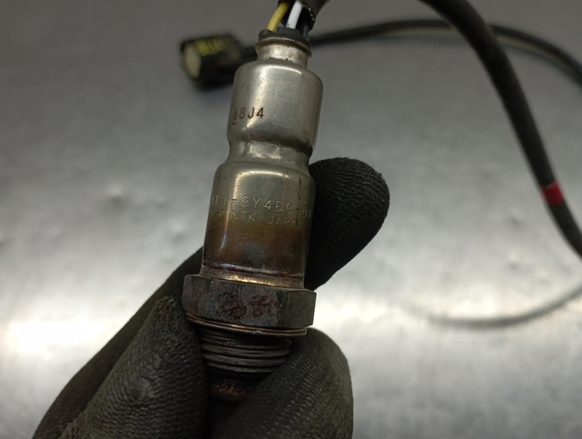 Sonda lambda FORD Kuga II (DM2) Imagem-3