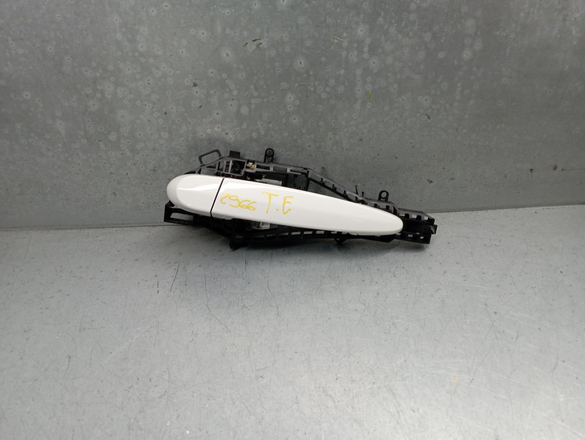 Puxador porta trás esquerdo BMW 1 (F20)