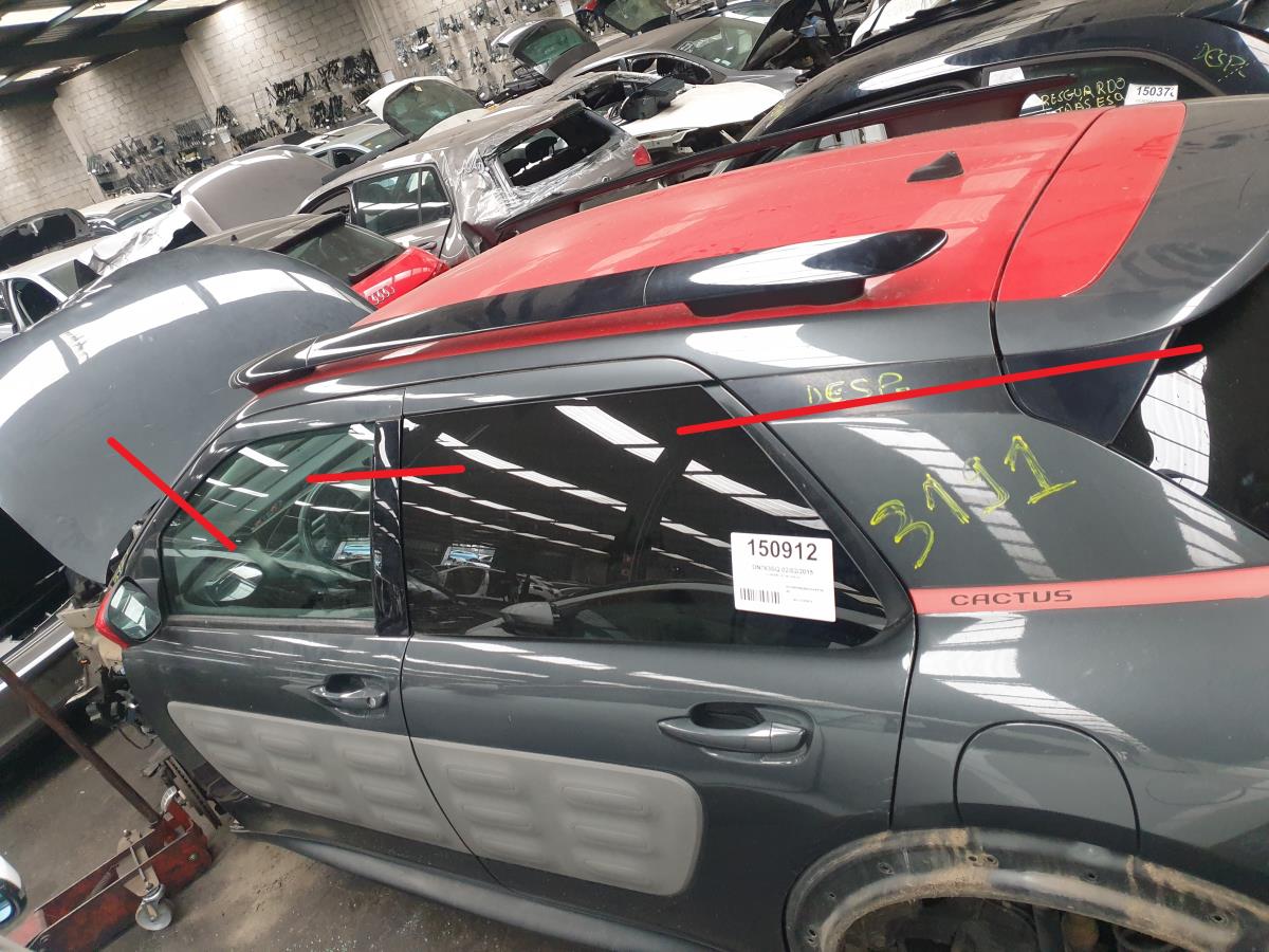 Techo CITROËN C4 Cactus