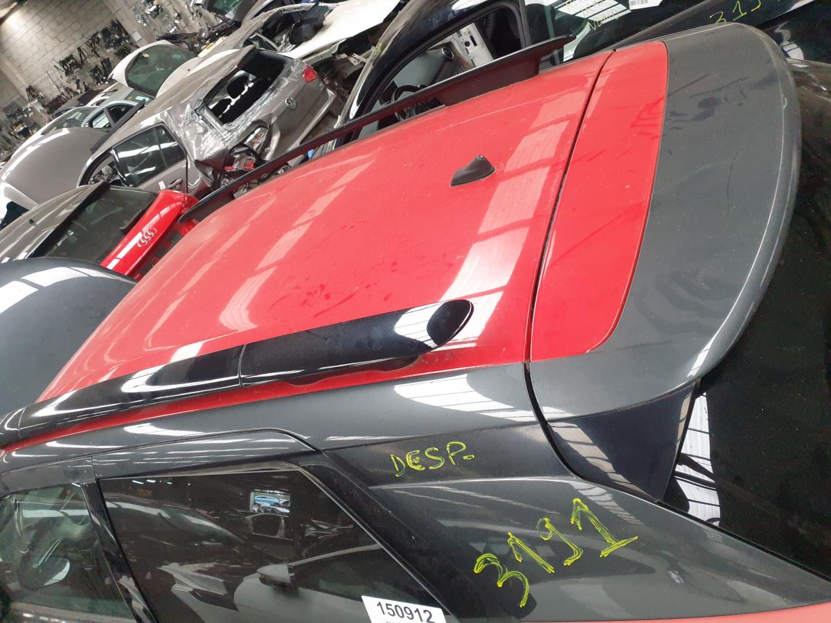 Techo CITROËN C4 Cactus Imagem-1