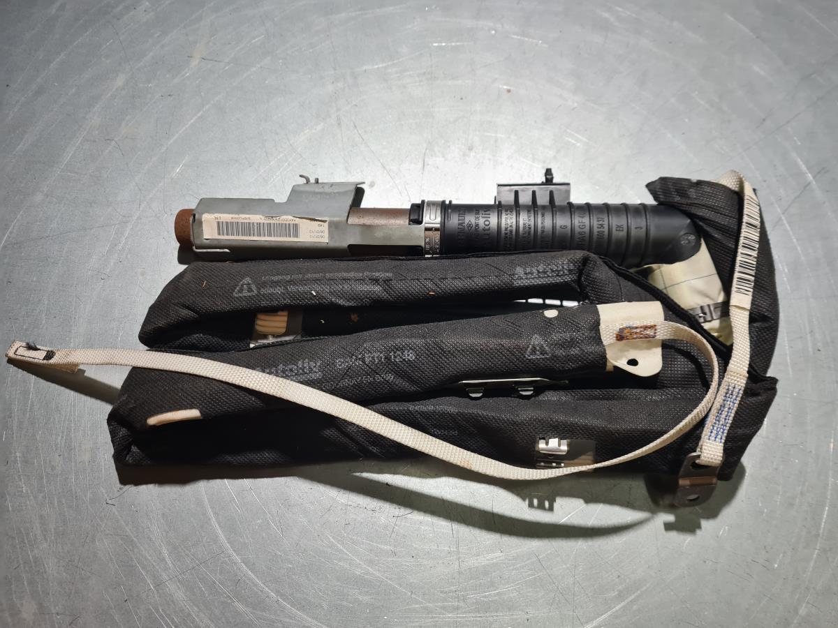 Airbag Rideau Guache NISSAN Qashqai/Qashqai+2 I (J10, JJ10) Imagem-1