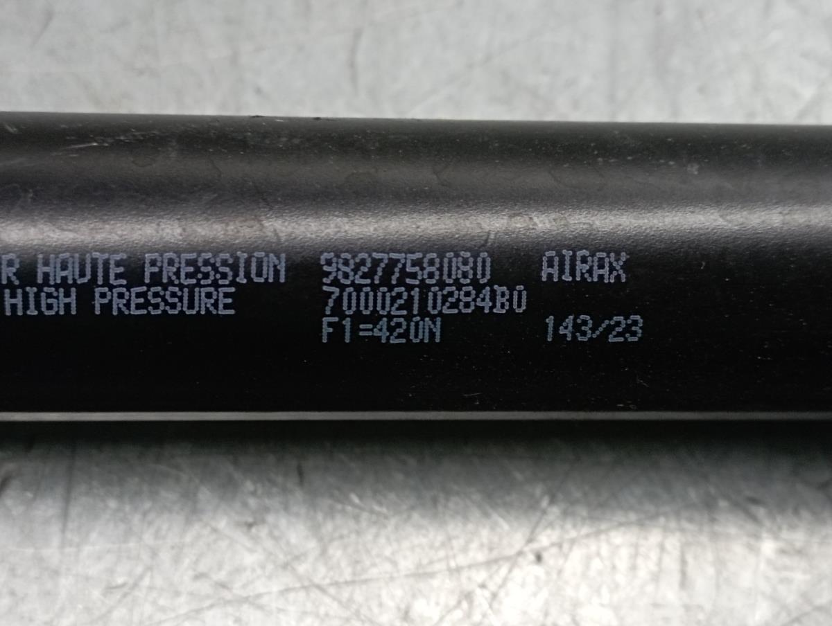 Amortecedor da mala PEUGEOT 208 II Imagem-1