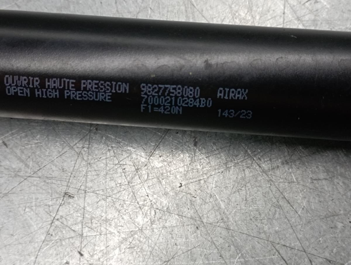 Amortecedor da mala PEUGEOT 208 II Imagem-1