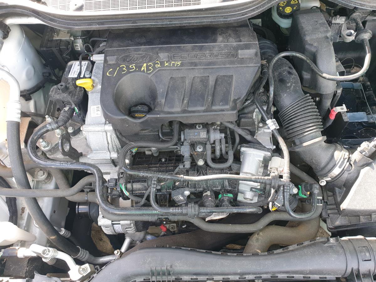 Motor completo FORD Fiesta VII (HJ, HF)