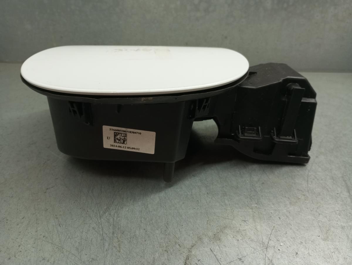 Tapa exterior combustible RENAULT Clio V (BF_) Imagem-1