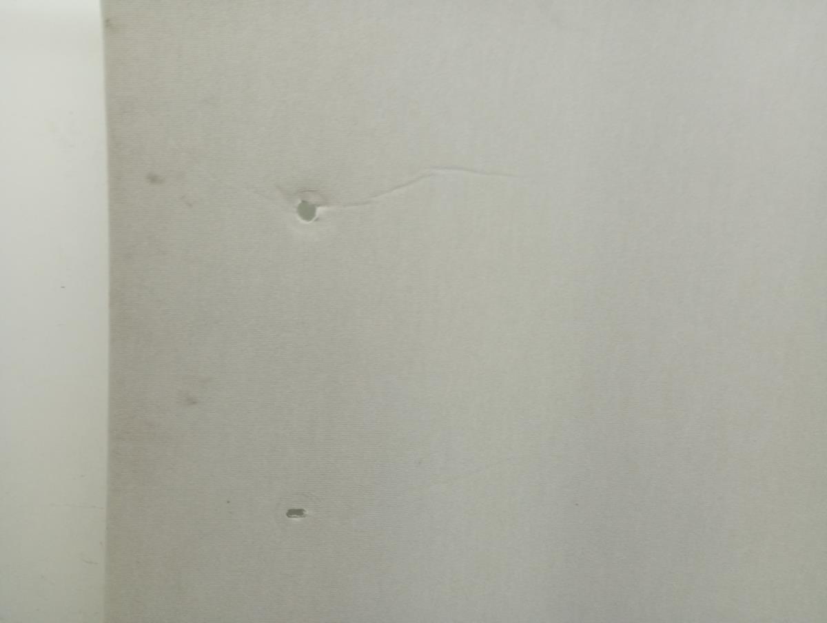 Roof lining DACIA Sandero III Imagem-4