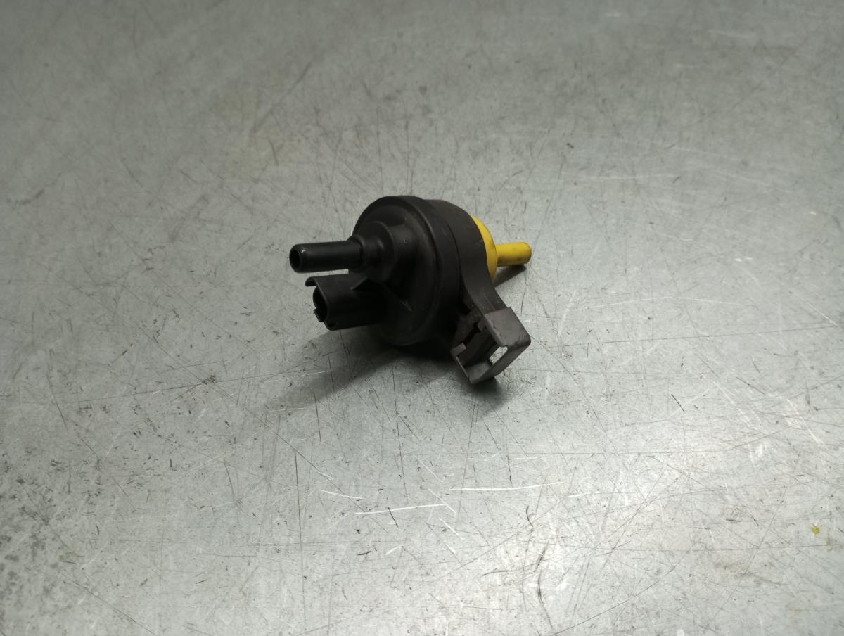 Valvola generica DACIA Sandero III Imagem-1