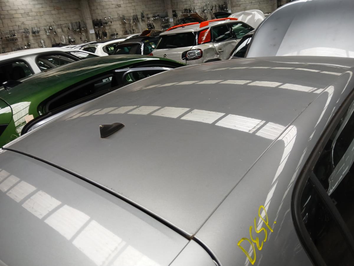 Techo PEUGEOT 308 II Imagem-1