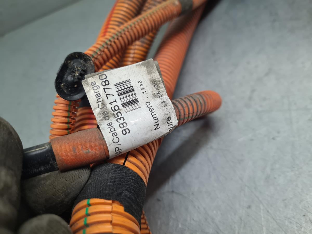 Toma de carga PHEV - EV CITROËN C4 III Imagem-6