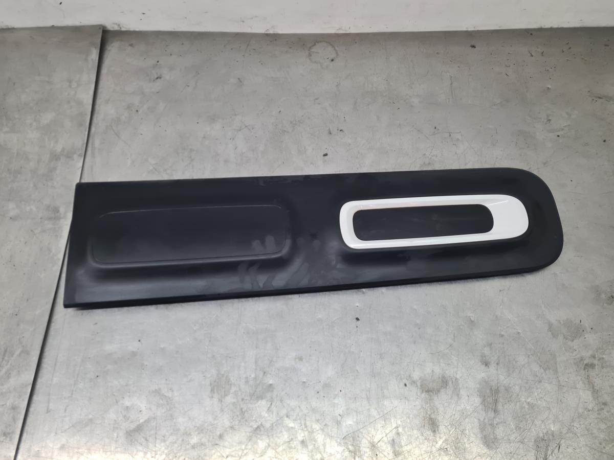 Friso da porta frente esquerda CITROËN C3 III (SX)