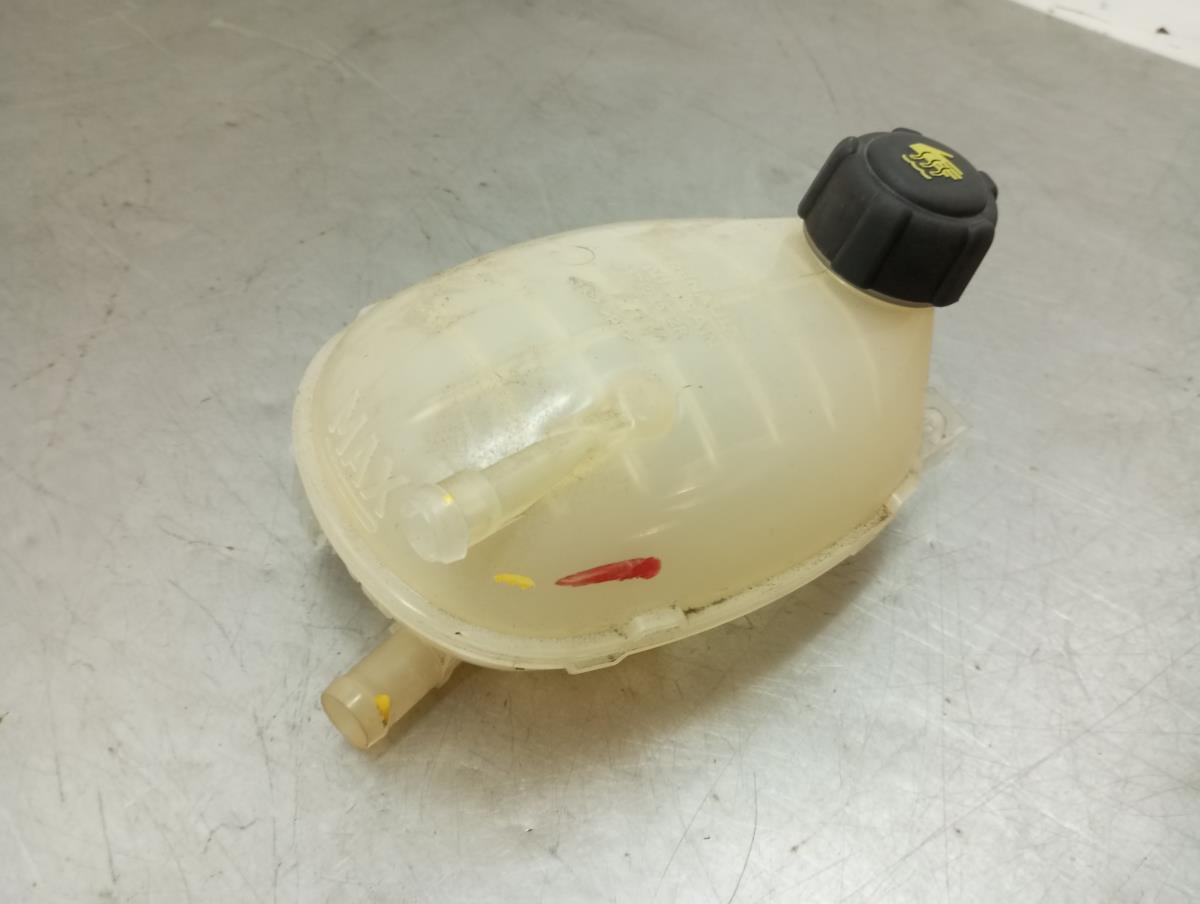 Coolant reservoir DACIA Sandero III Imagem-1