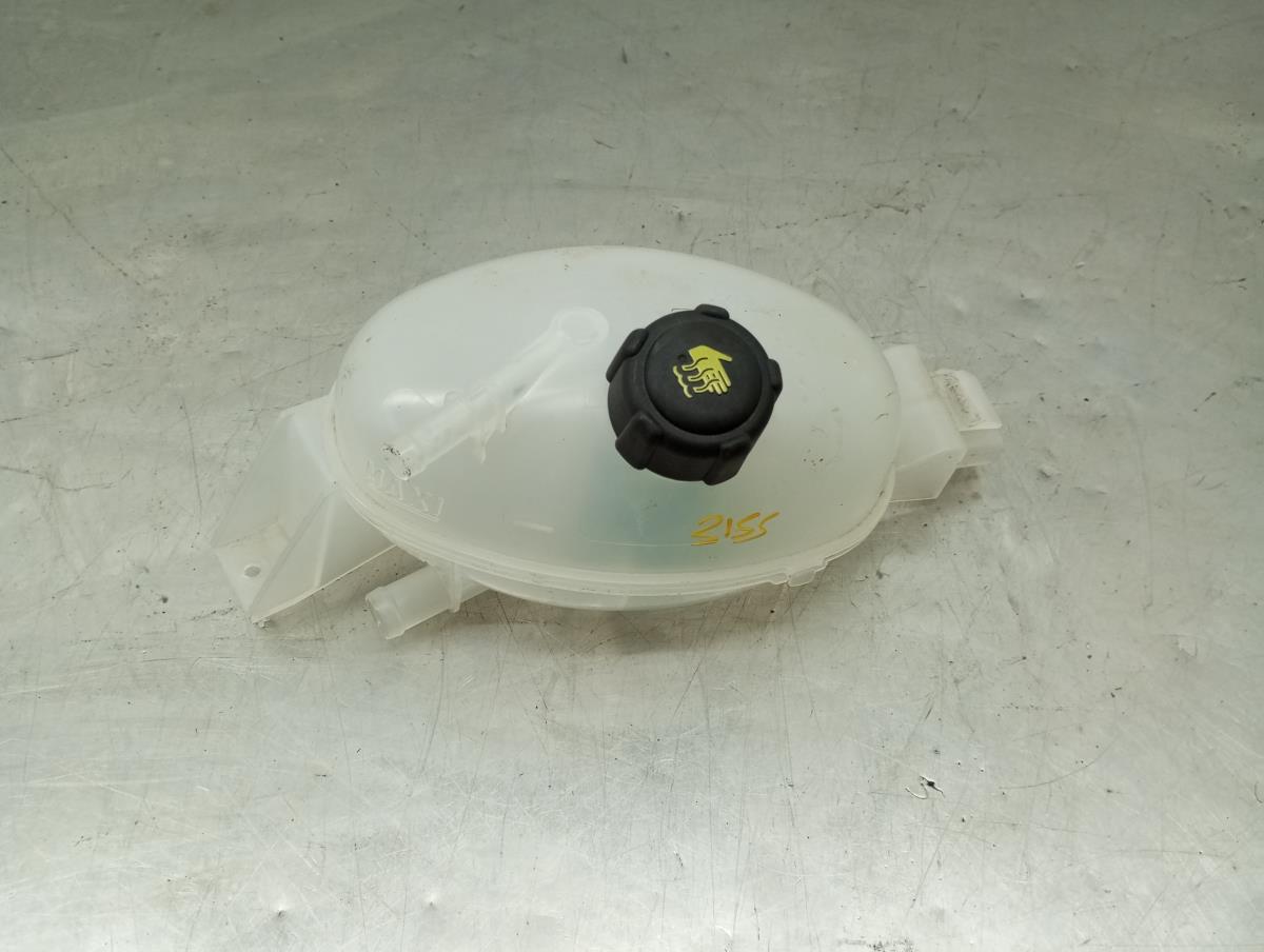 Reservatório / depósito da água / líquido de refrigeração RENAULT Master III (FV)