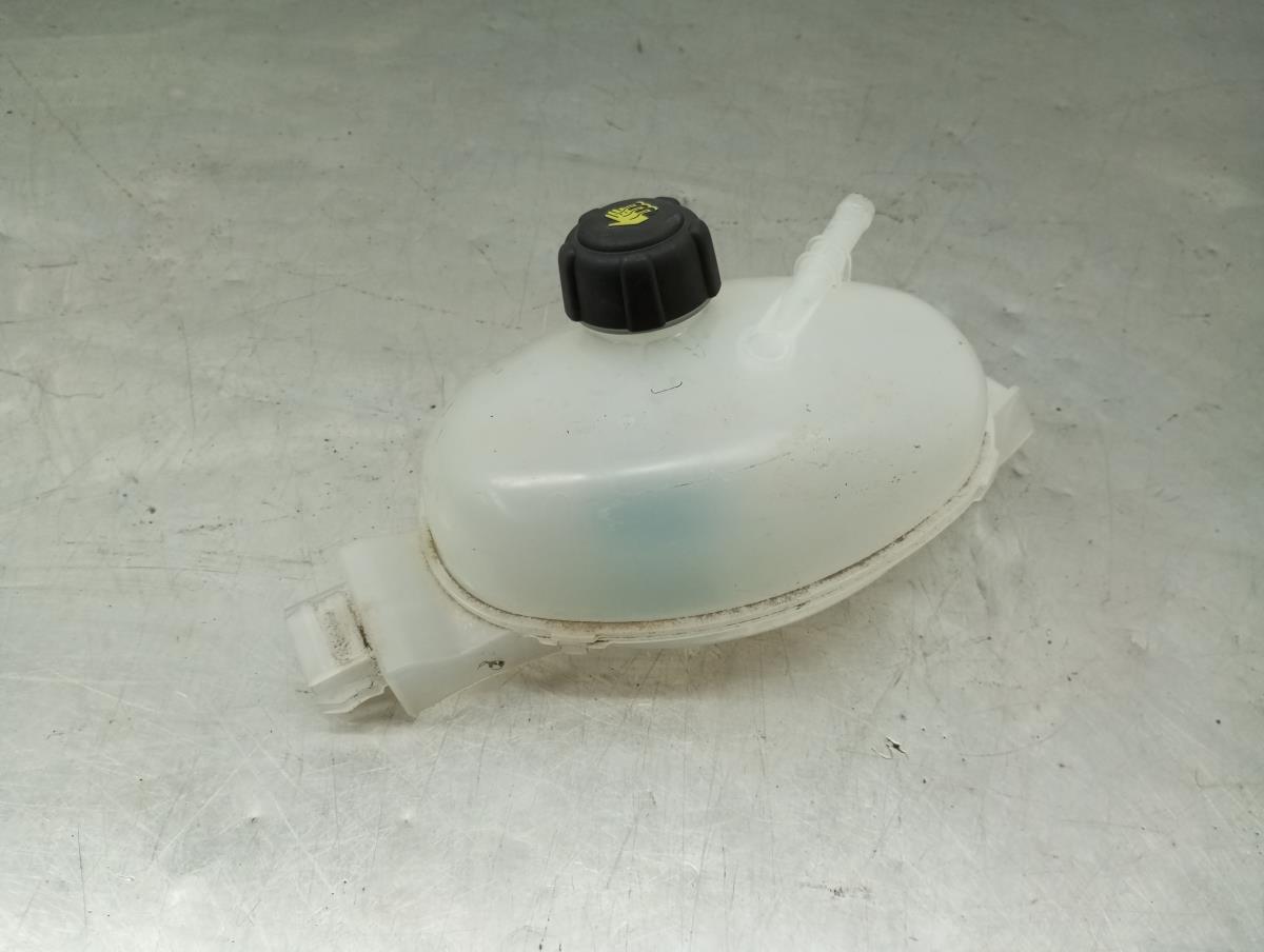 Reservatório / depósito da água / líquido de refrigeração RENAULT Master III (FV) Imagem-1