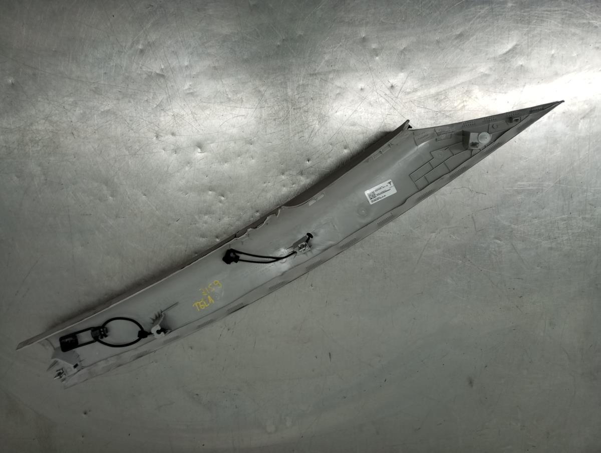 Forras de pilar C direito TESLA Model 3 (5YJ3) Imagem-3