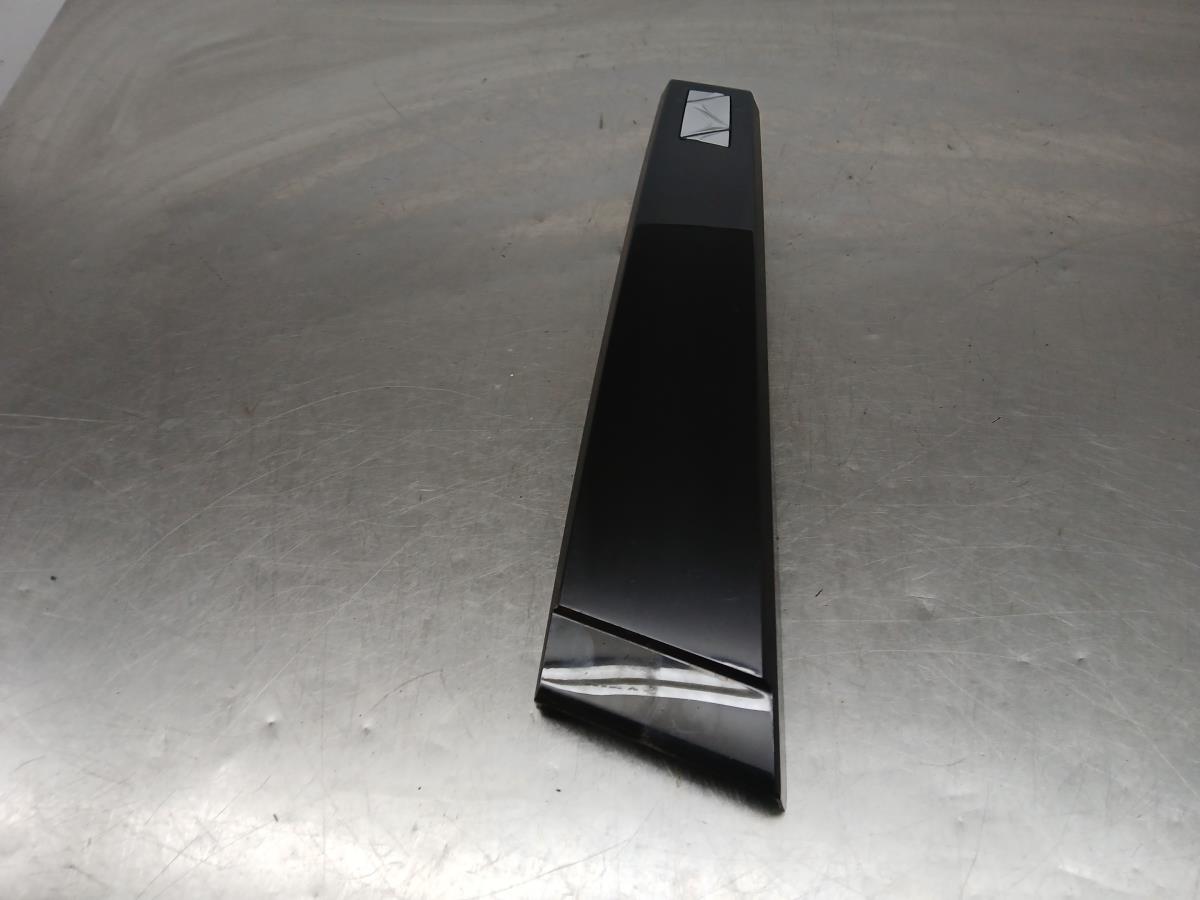 Friso Embelezador Dto Pilar/Porta CITROËN DS4 (NX_)