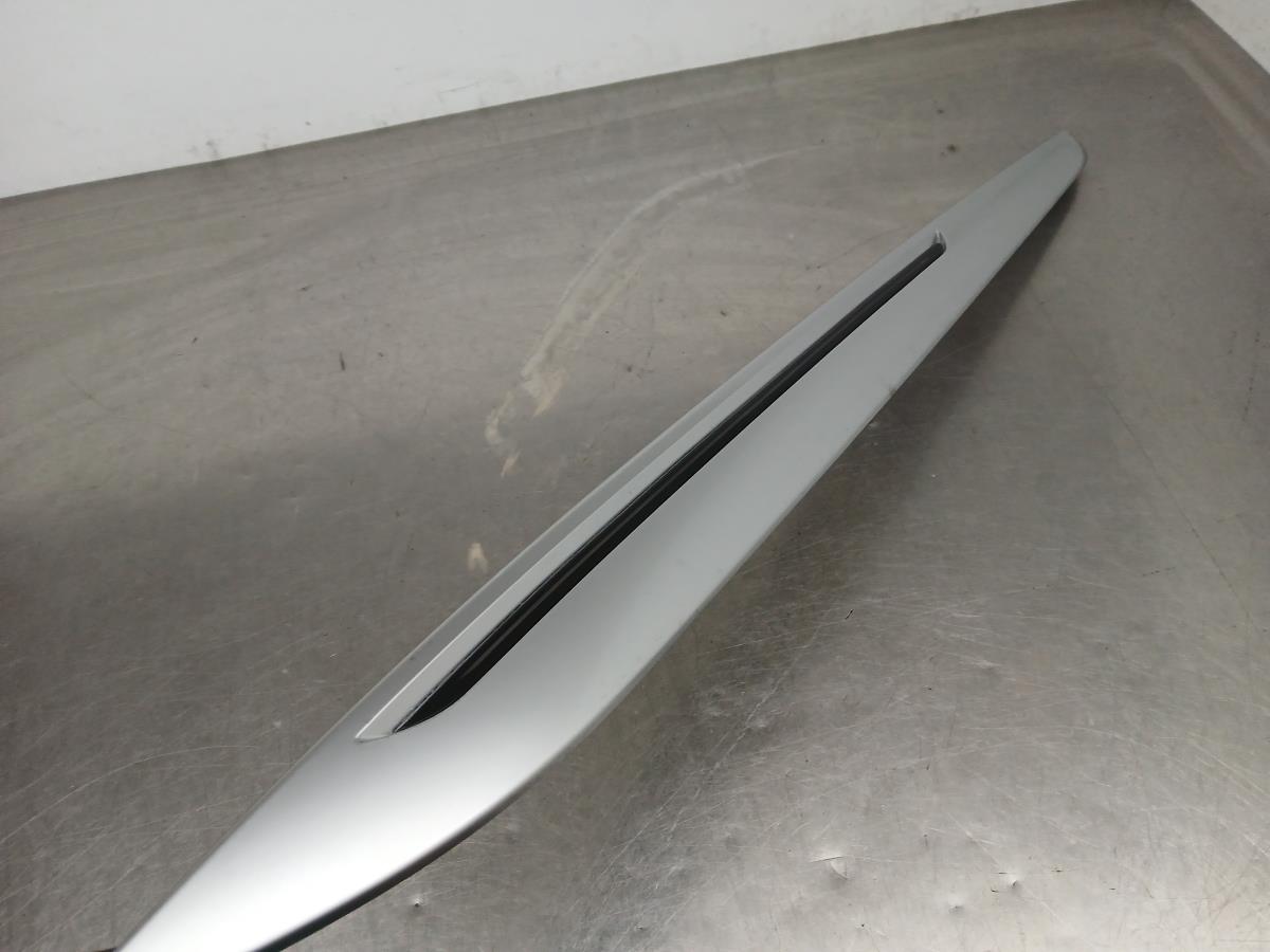 Modanatura interna RENAULT Megane IV (B9A/M_) Imagem-1