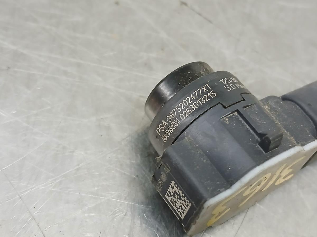 Parking Sensor CITROËN C4 Cactus Imagem-1