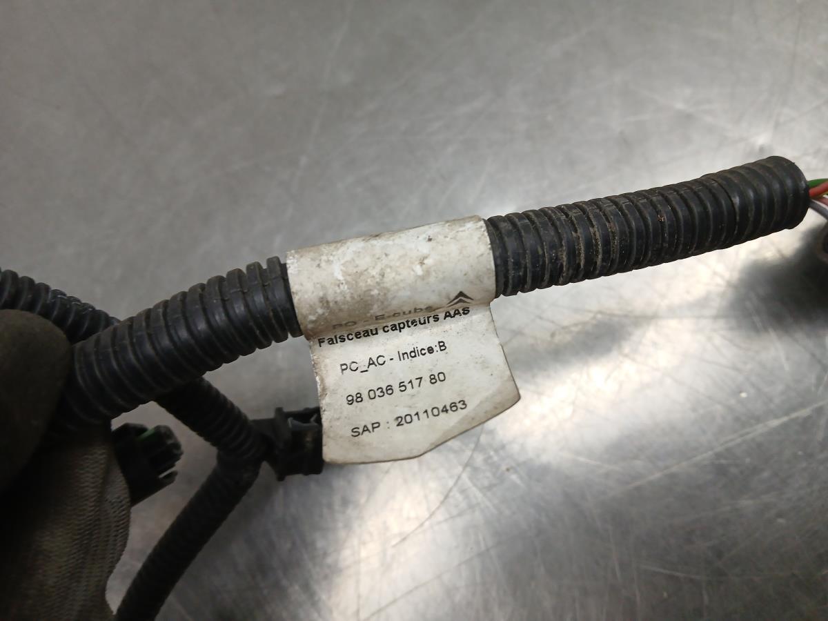 Instalação elétrica interior / cablagem interior CITROËN C4 Cactus Imagem-1