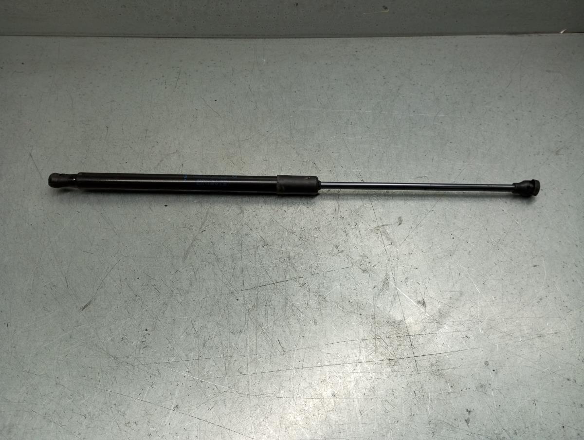 Amortecedor da mala RENAULT Megane IV (B9A/M_) Imagem-1