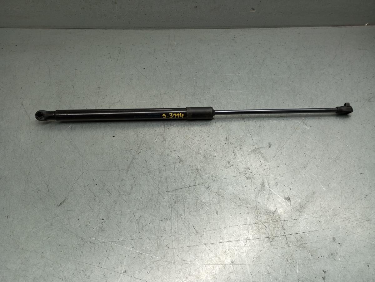 Amortecedor da mala RENAULT Megane IV (B9A/M_)