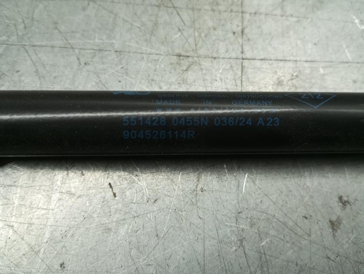 Amortecedor da mala RENAULT Megane IV (B9A/M_) Imagem-2