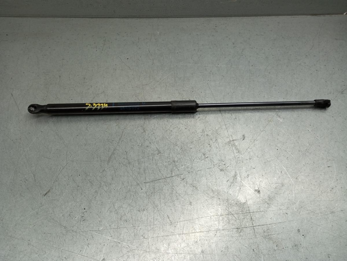 Amortecedor da mala RENAULT Megane IV (B9A/M_)