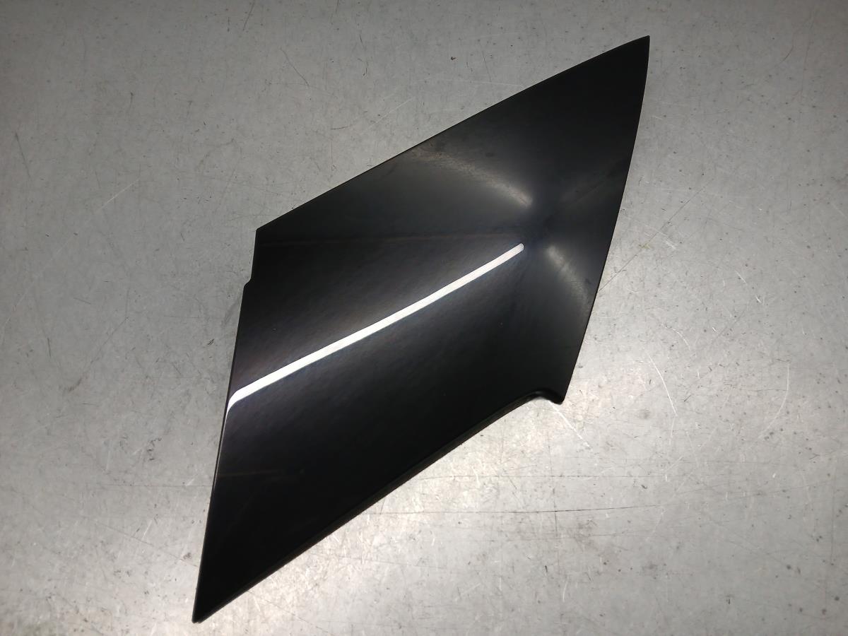 Friso painel esquerdo RENAULT Megane IV Grandtour (K9A/M_)