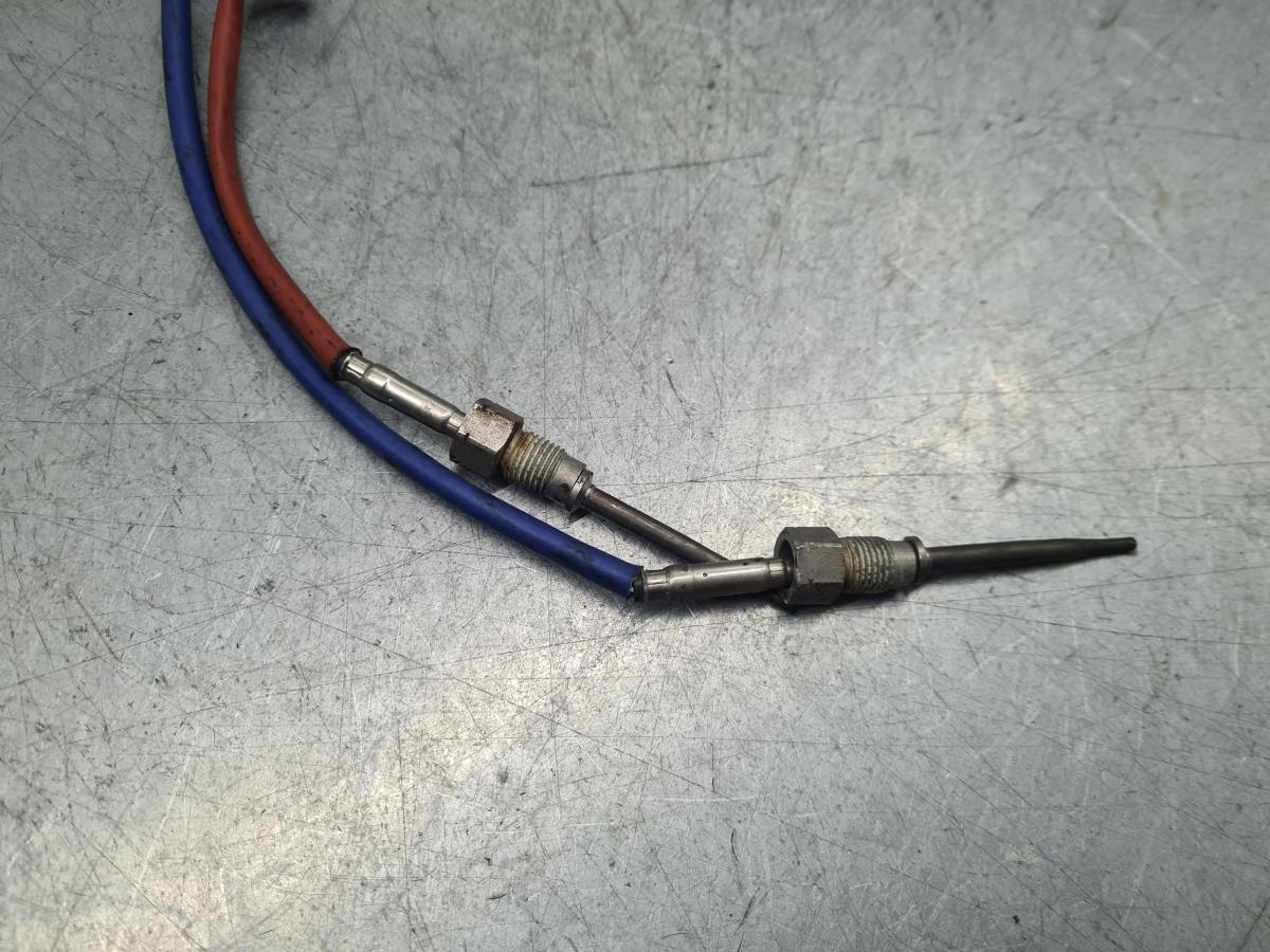 Sonda lambda RENAULT Trafic III (FG_) Imagem-1