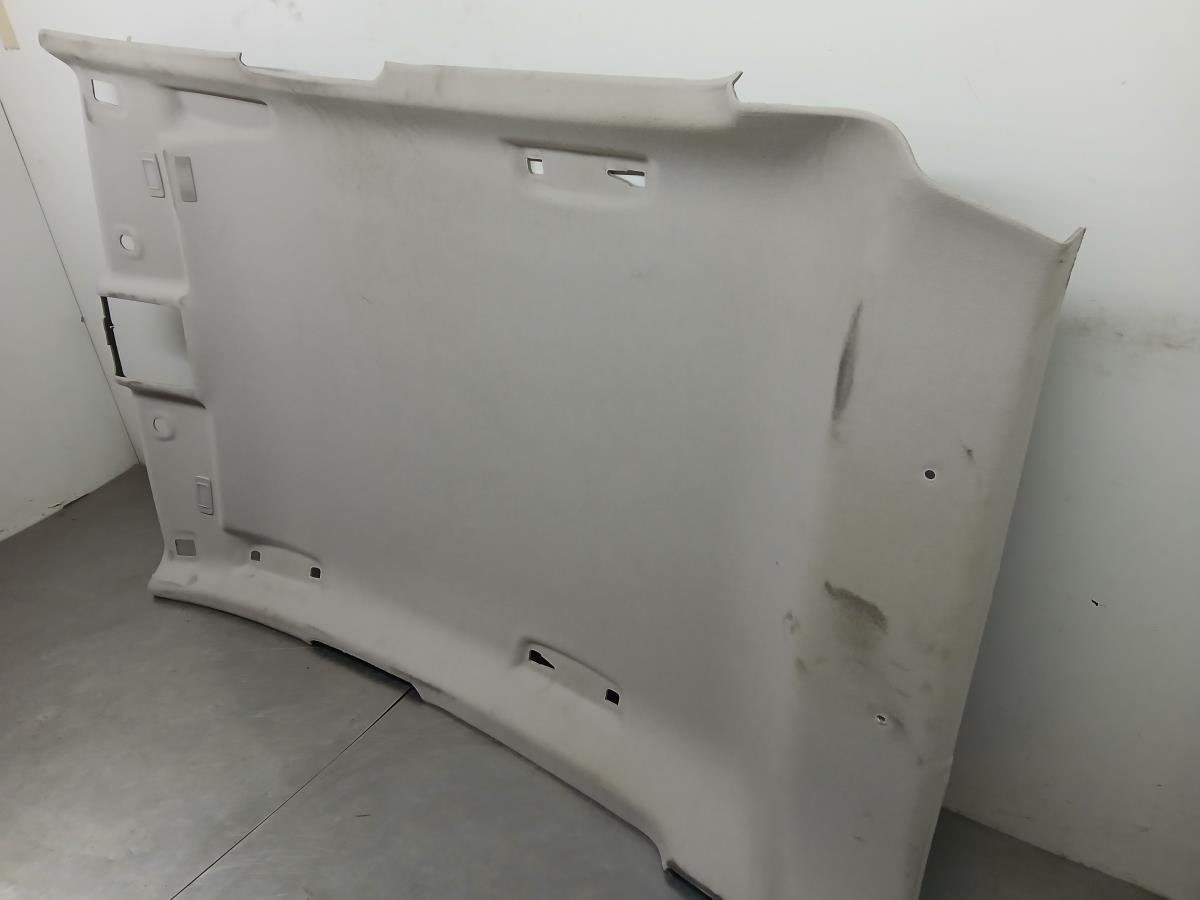 Forra de tejadilho RENAULT Clio V (BF_) Imagem-1